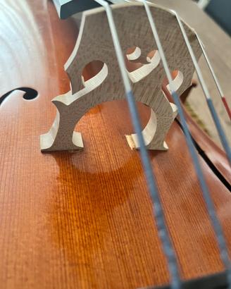 Violoncello 3/4