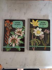 Libri Vintage Botanica Alpina "Alpen Blumen" 1 & 2