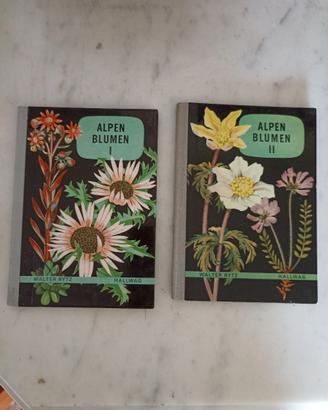 Libri Vintage Botanica Alpina "Alpen Blumen" 1 & 2