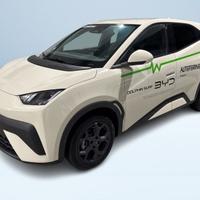 BYD Dolphin Surf Comfort