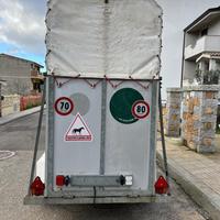 Trailler trasporto cavalli