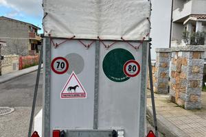 Trailler trasporto cavalli