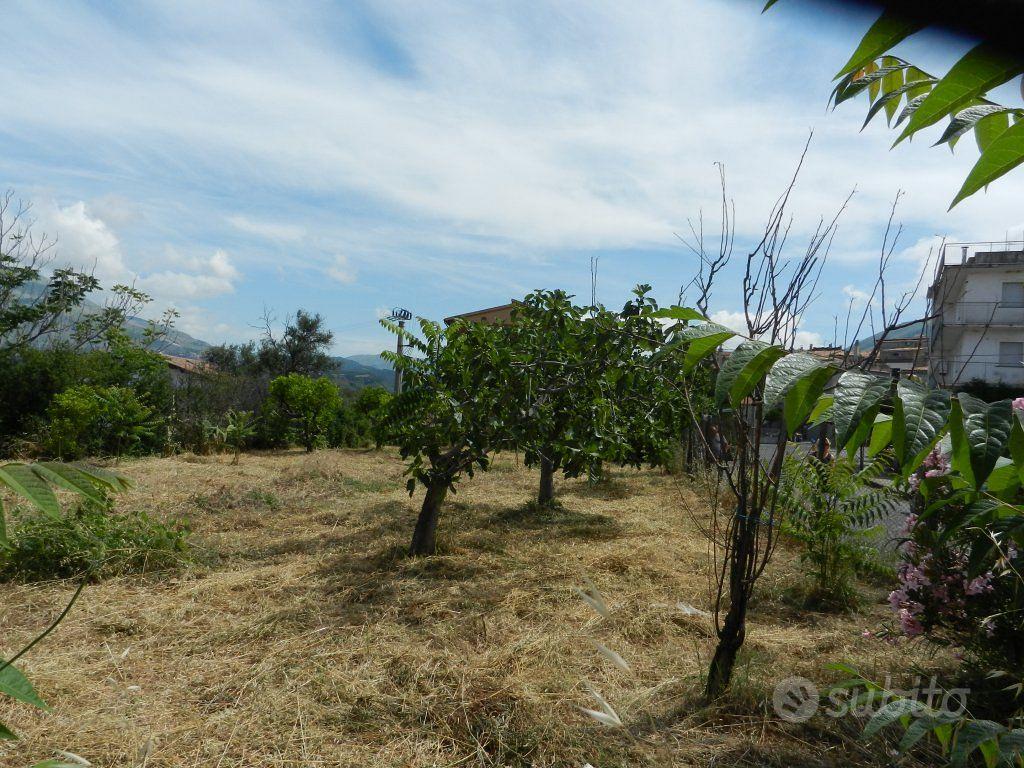 Terreno Residenziale Santa Maria del Cedro - Vista 4