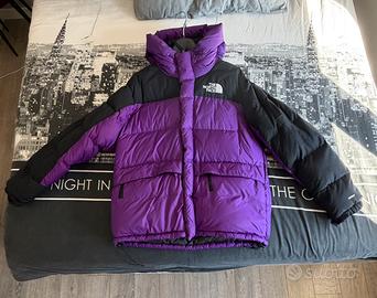 Giubbotto The north Face 550