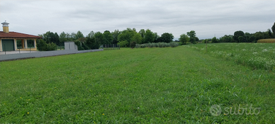 Terreno edificabile con oliveto