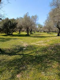 Appartamento bilocale