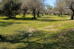 Appartamento bilocale