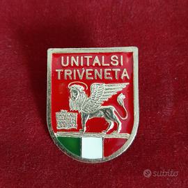 Distintivo spilla Unitalsi Triveneta