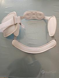 busto vertebrale