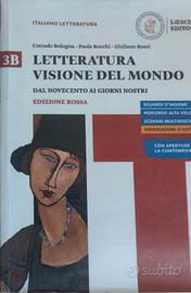 libro letteratura visione del mondo 
