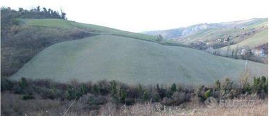 Immobile in asta di 22060 m² a Castrocaro Terme e 