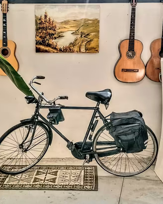 Bicicletta freni a bacchetta Atala 