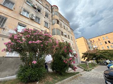 Via Giovanni Pascale