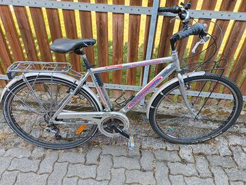 Bicicletta da uomo