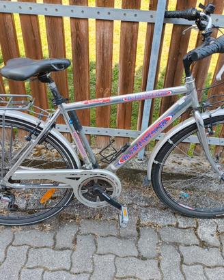 Bicicletta da uomo