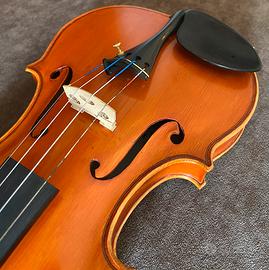 Violino