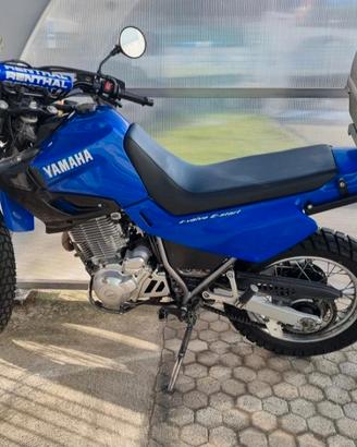 xt600