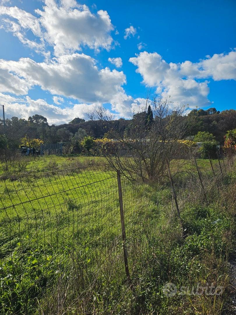 Terreno agricolo - Vista 5