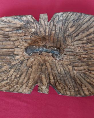 Scudo Africano Tribù Songye Zaire Legno Intagliato