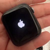 Apple wacht se