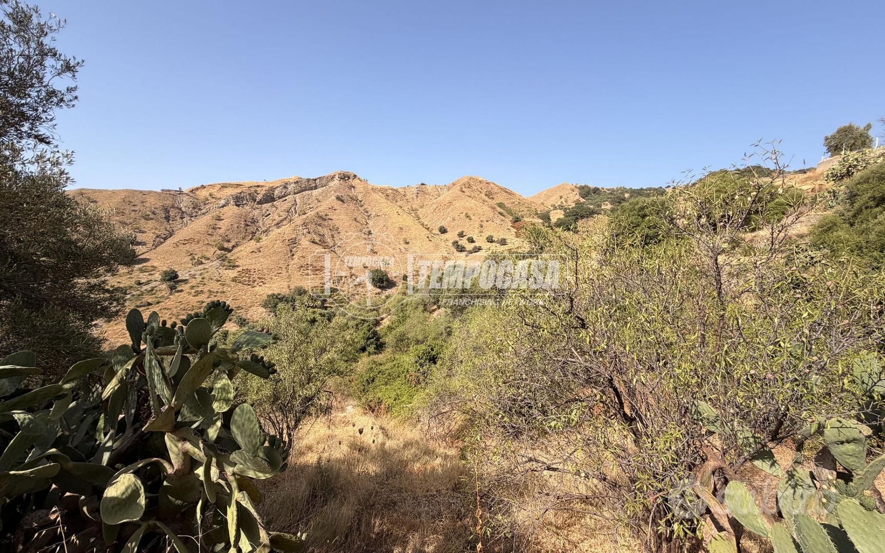 TERRENO AGRICOLO SCOSCESO A ROCCALUMERA - Vista 4