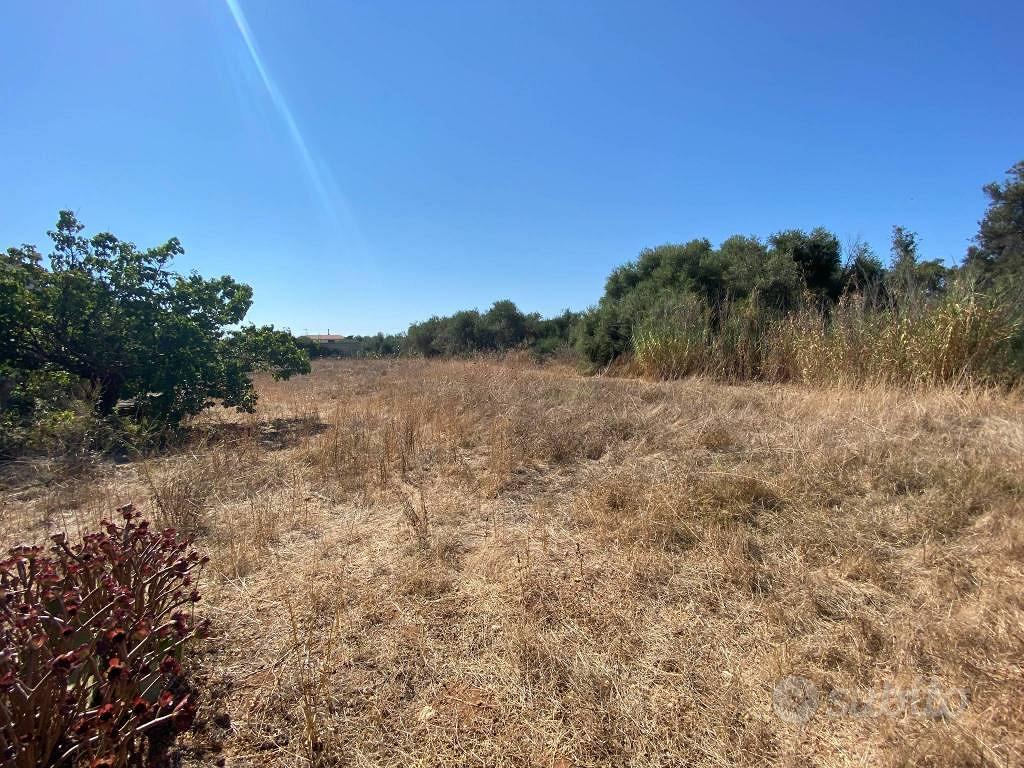 Terreno di 1680 m² a Terrasini - Vista 3