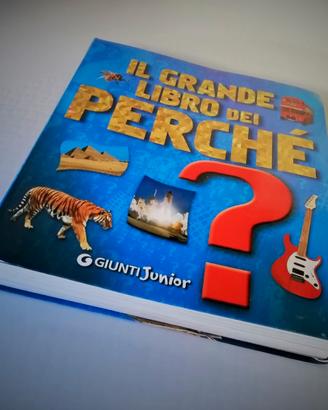 IL GRANDE LIBRO DEI PERCHE'. ediz. Illustrata -