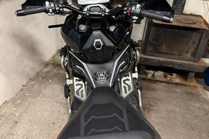 ZONTES 368g