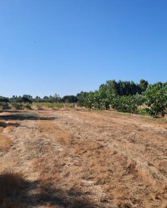 Giardino nei pressi fontana pubblica a Serramanna