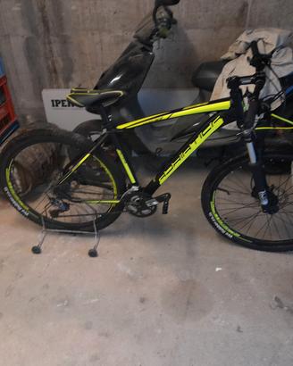 Bicicletta Adriatica MTB 26