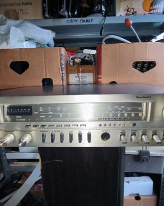 Sinto amplificatore grunding R1000