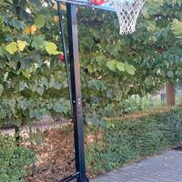 canestro basket regolabile 