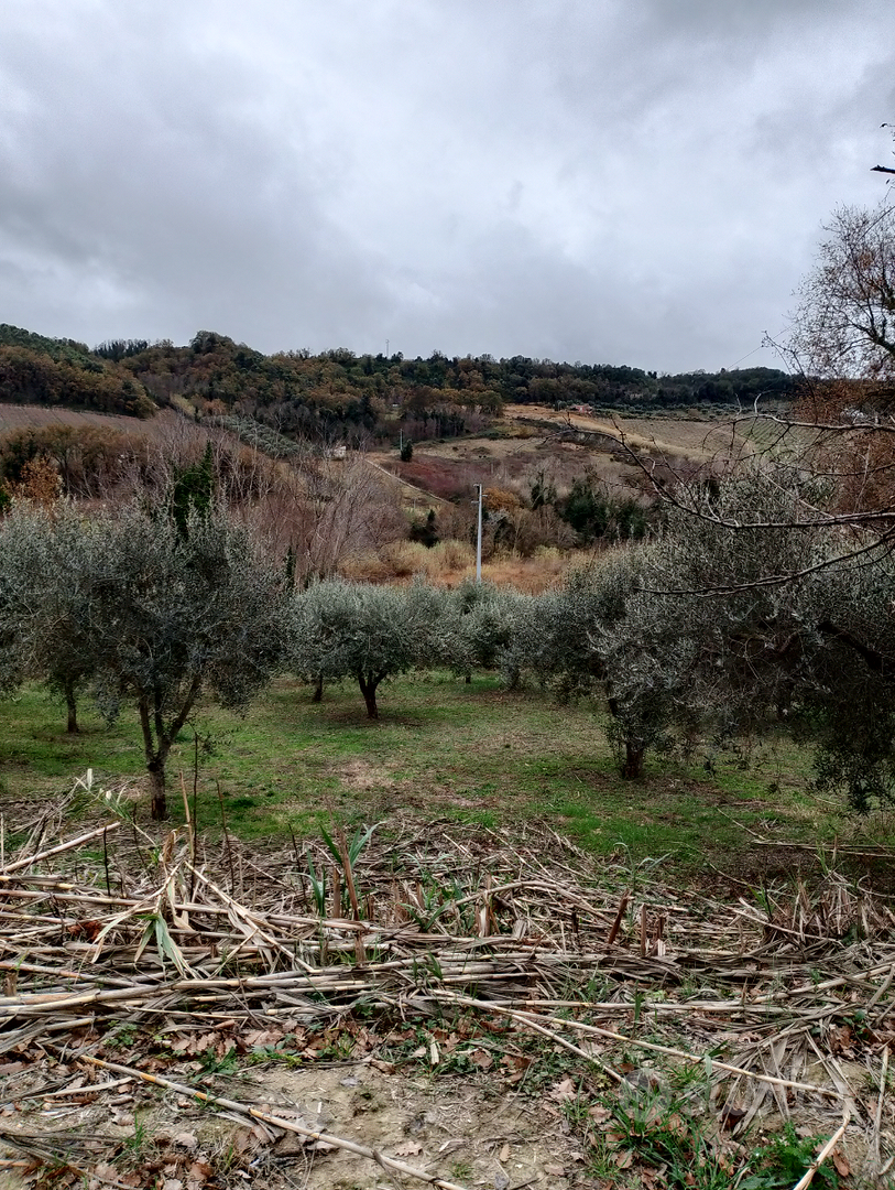 Terreno agricolo - Vista 2