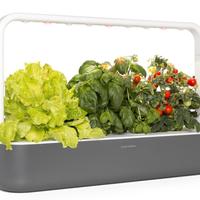 Click & Grow The Smart Garden 9 idroponica