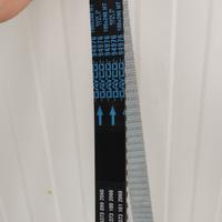 cinghia distribuzione Giulia 2.2