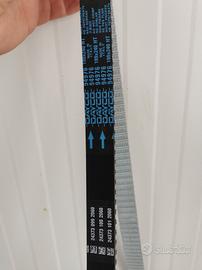 cinghia distribuzione Giulia 2.2