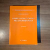 Il Diritto Costituzionale nella Giurisprudenza