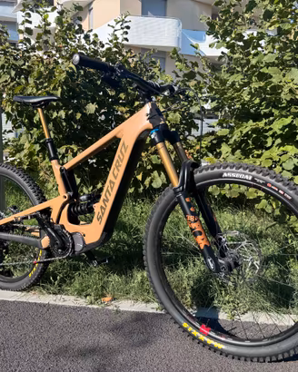 SANTA CRUZ BULLIT 2024