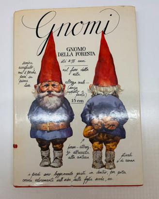 GNOMI (RIZZOLI)