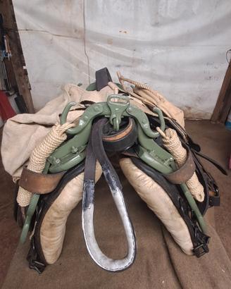 basto regio esercito italiano. 