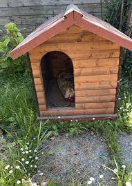 Cuccia in legno per cani di media taglia