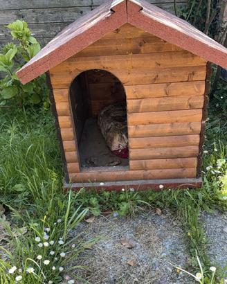 Cuccia in legno per cani di media taglia