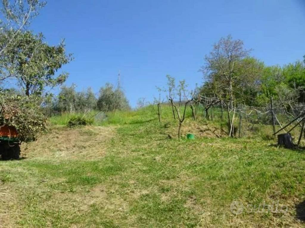 Immobile in asta di 11730 m² a Adrara San Martino - Altro