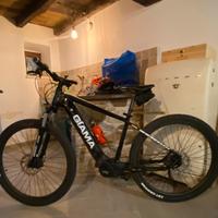 Bicicletta elettrica