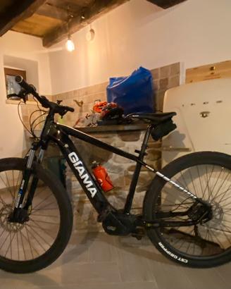 Bicicletta elettrica