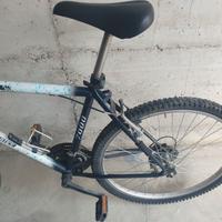 Bicicletta mountain bike