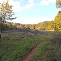040a terreno agricolo di 8000mq vari utilizzi