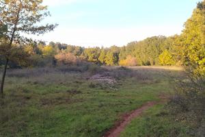 040a terreno agricolo di 8000mq vari utilizzi