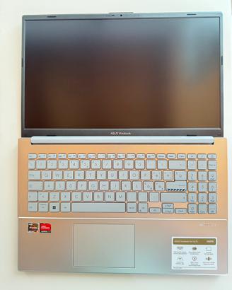 Pari al nuovo, Asus vivobook Go 15