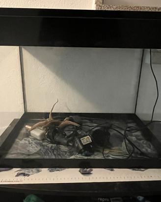 Acquario askoll